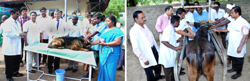 Veterinary College and Research Institute Chennai Labs photo 1